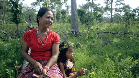 Cemetery of Green Souls