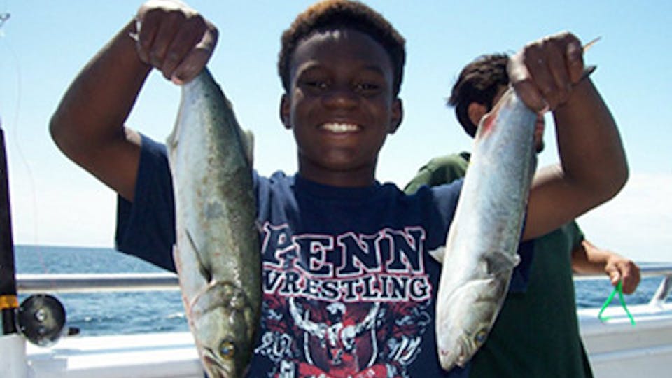 Reframe Spotlight: Q&A with 'Little Brother' Series Director Nicole Franklin