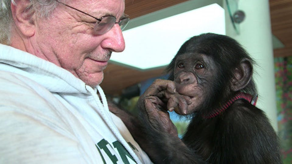 2013 Gucci Tribeca Documentary Fund Grantees Announced