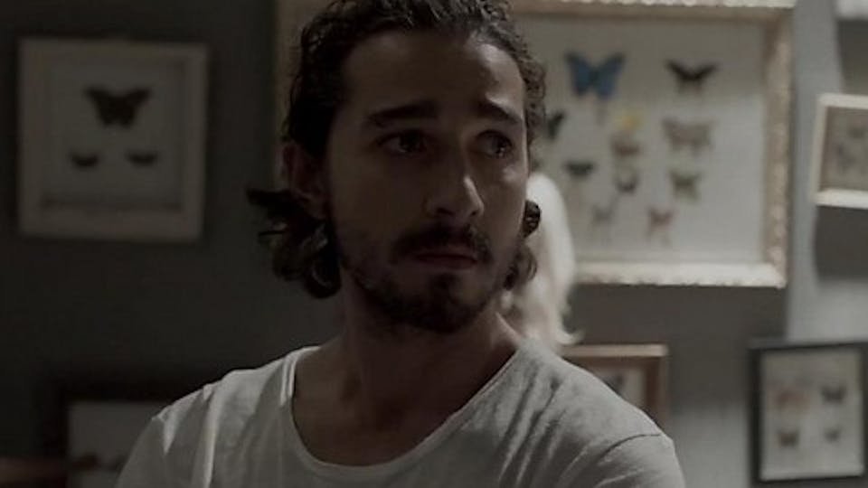 Have You Seen Alma Har'el's New Music Video?