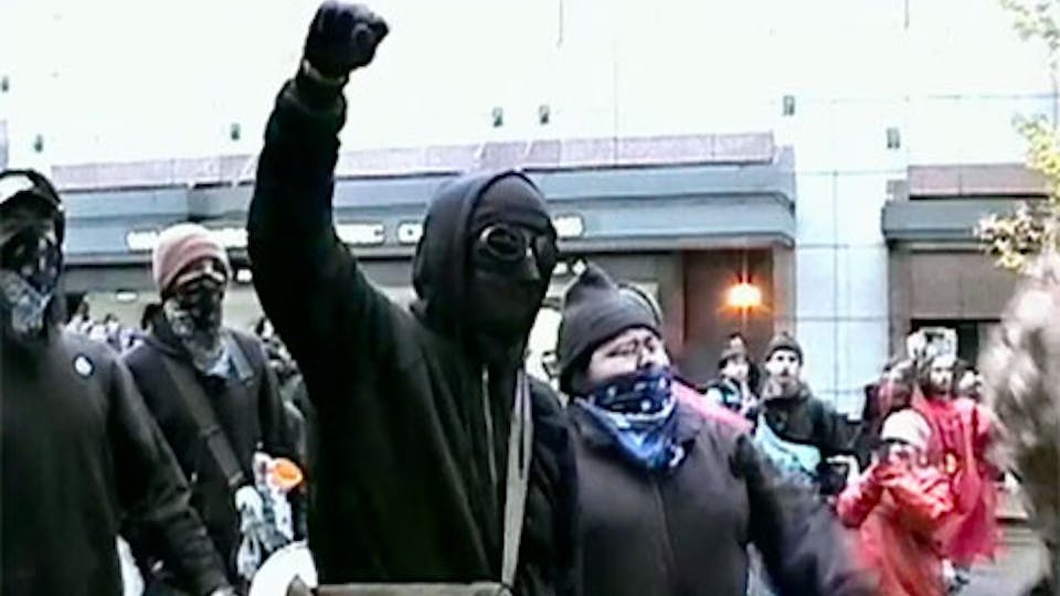 Watch If a Tree Falls Online