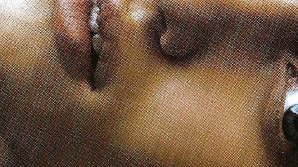 The Sisterhood of Night