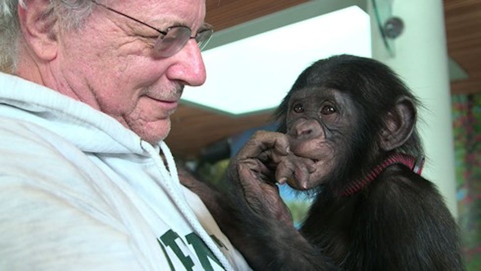 Are Chimps People Too? D.A. Pennebaker and Chris Hegedus On Their New Film 'Unlocking The Cage'