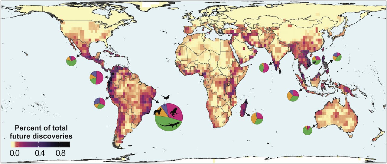 MoUL, World map featuring the 4 main vertebrate groups in the top 10 regions