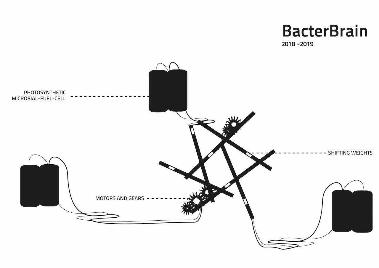 Bacterbrain graphic@IvanHenriques2018