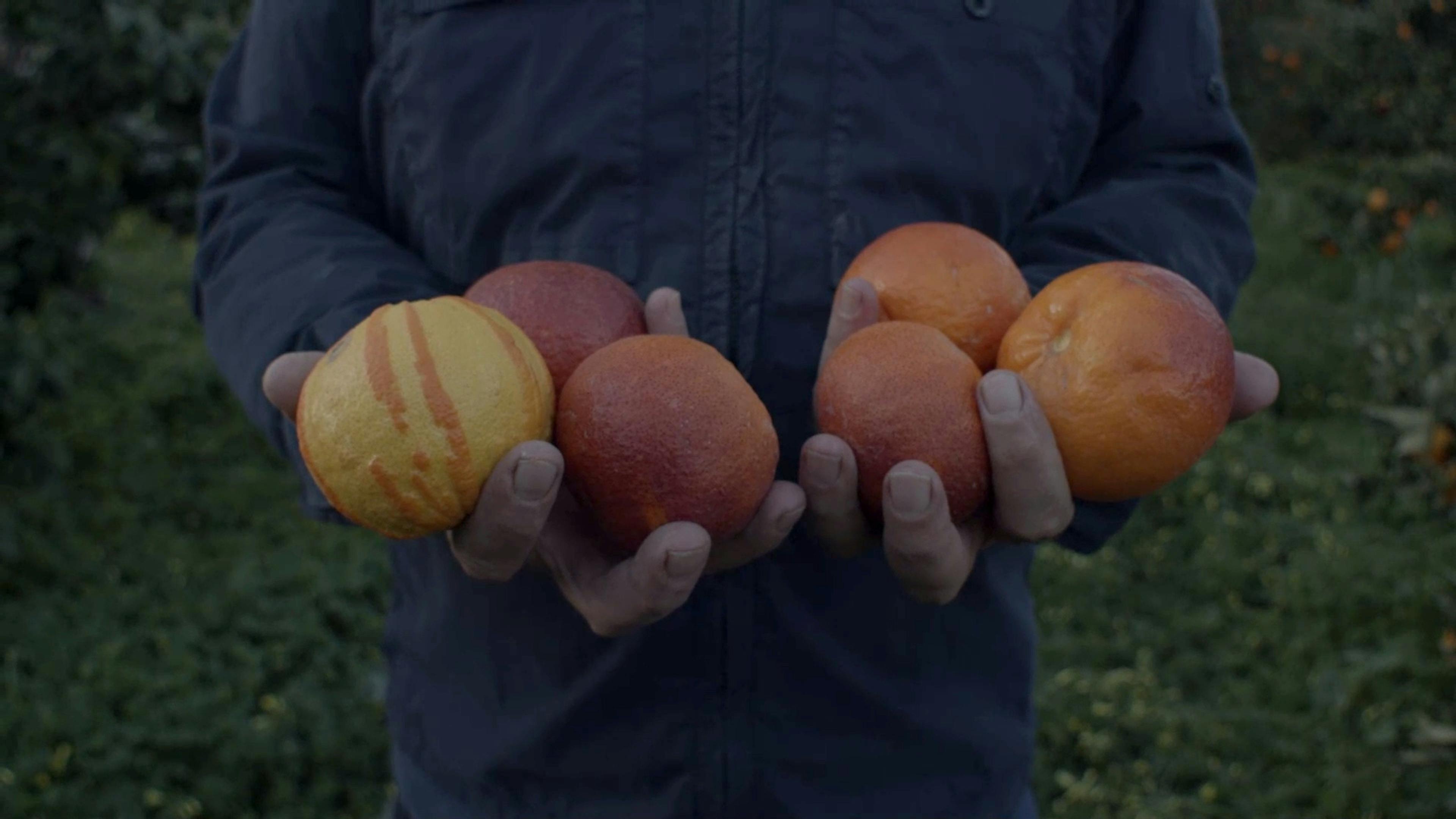 citrus