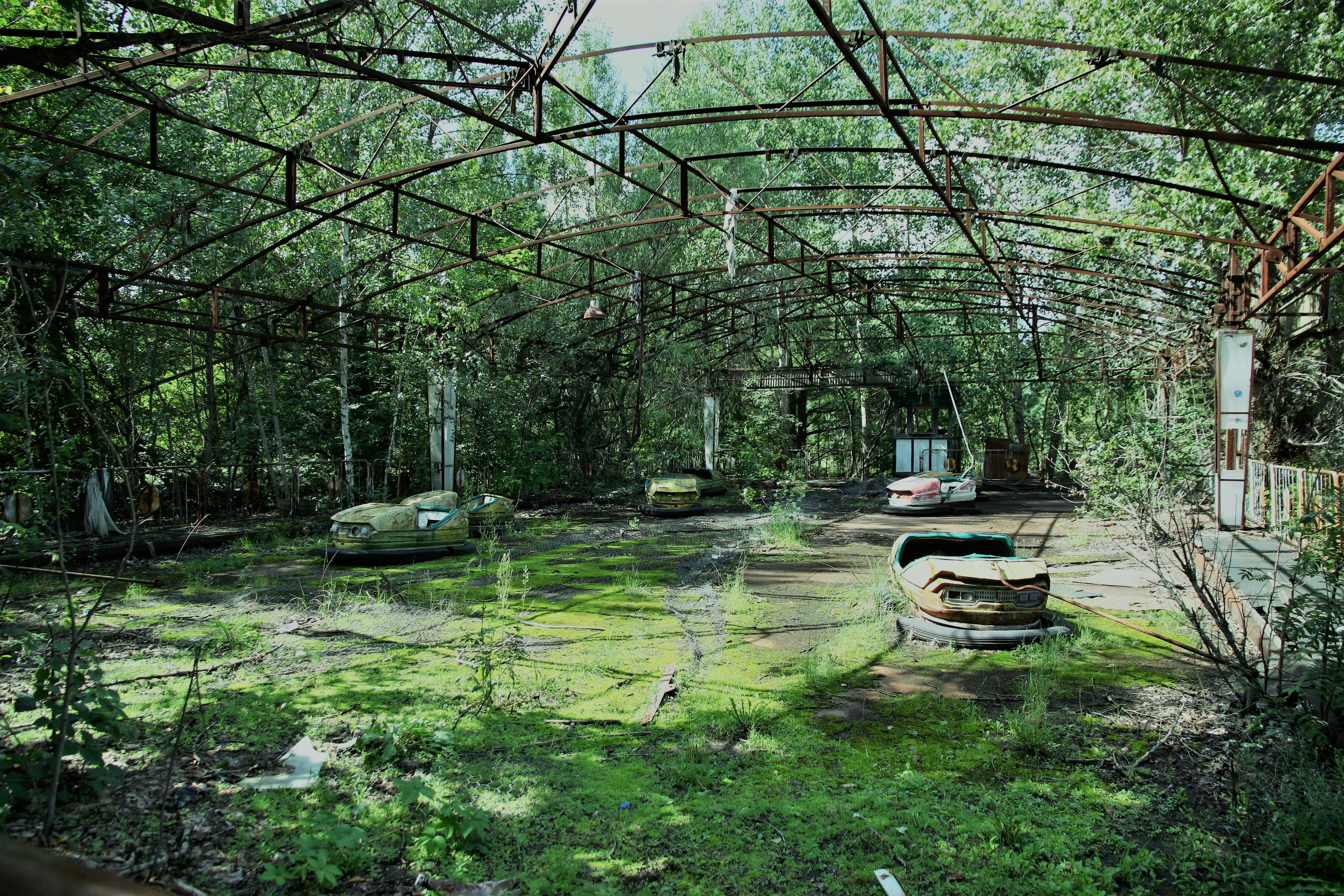Yasemin Atalay Bumper cars in the greenest amusement park in the world. Pripyat, Ukraine © IAEA