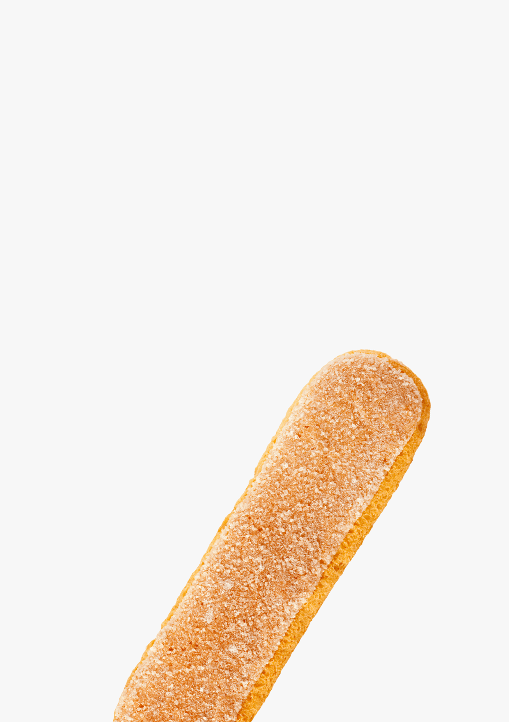 Our son Triennale Milano