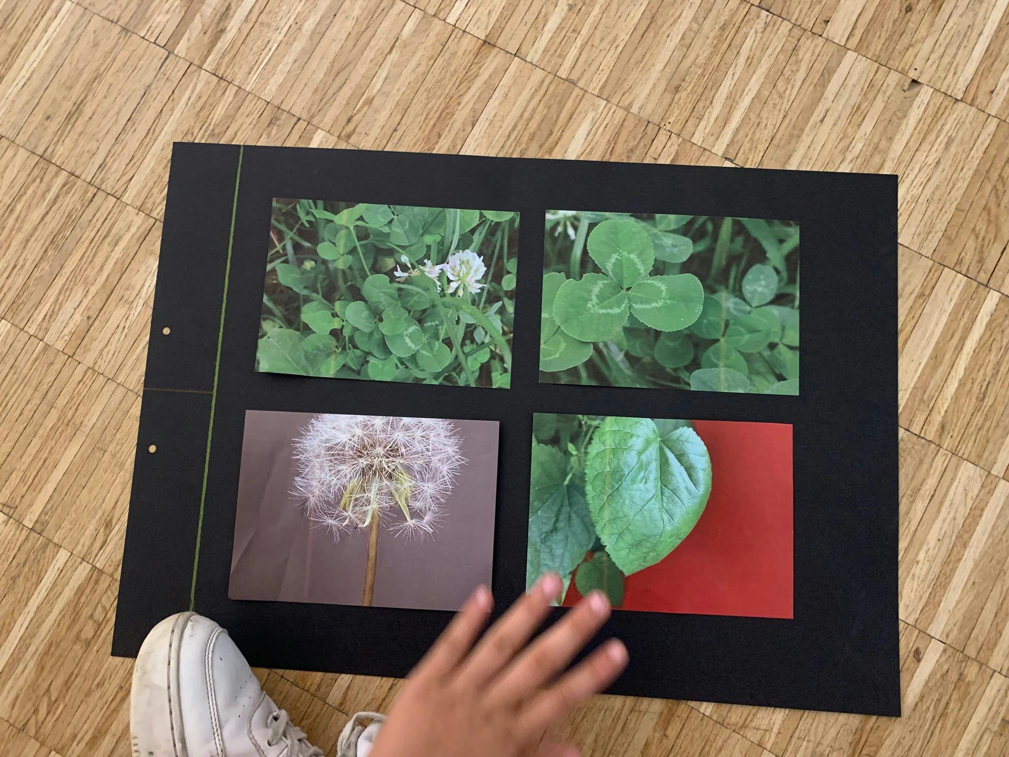 Lavori realizzati dalle bambine e dai bambini del campus Summer Escapes insieme a Melina Mulas