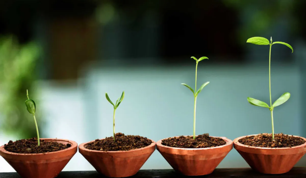 Khởi nghiệp là đập nát cái tôi