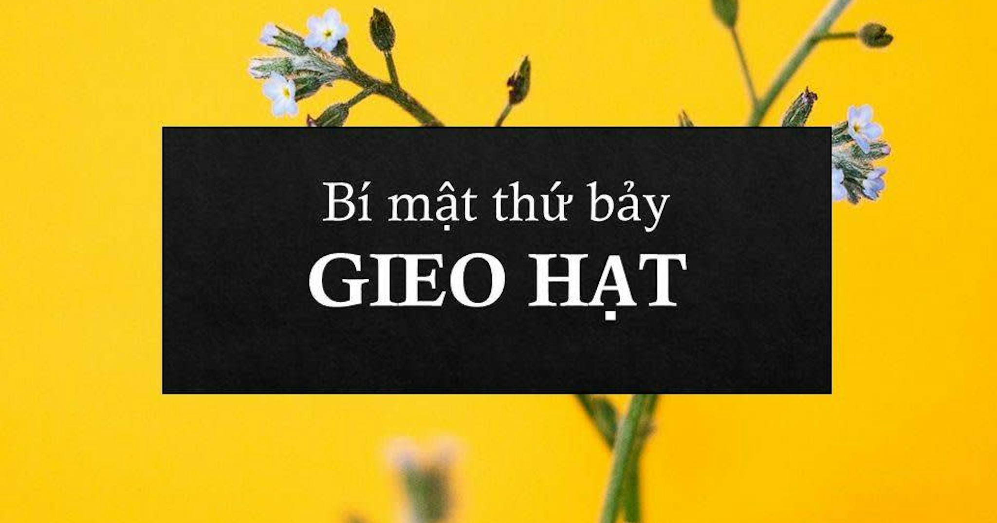 gieo-hat