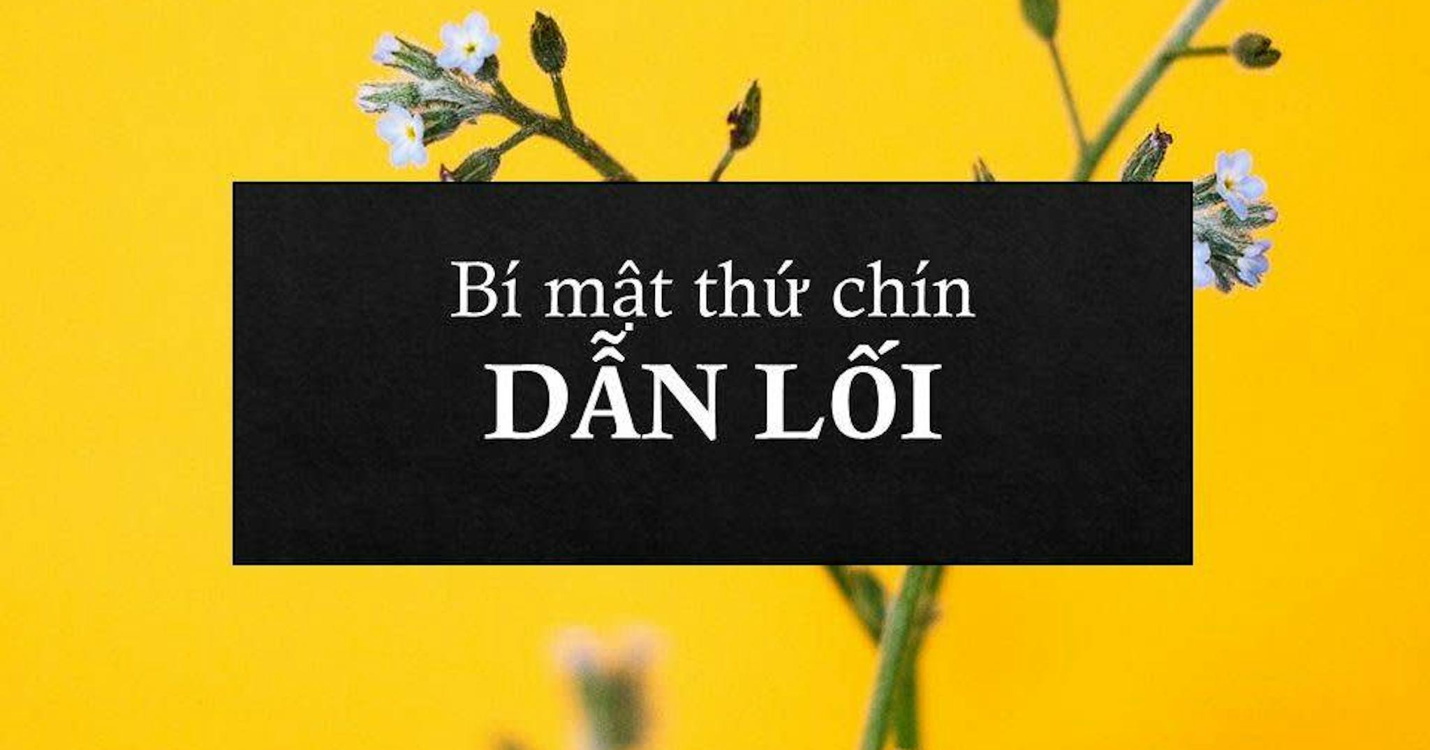dan-loi
