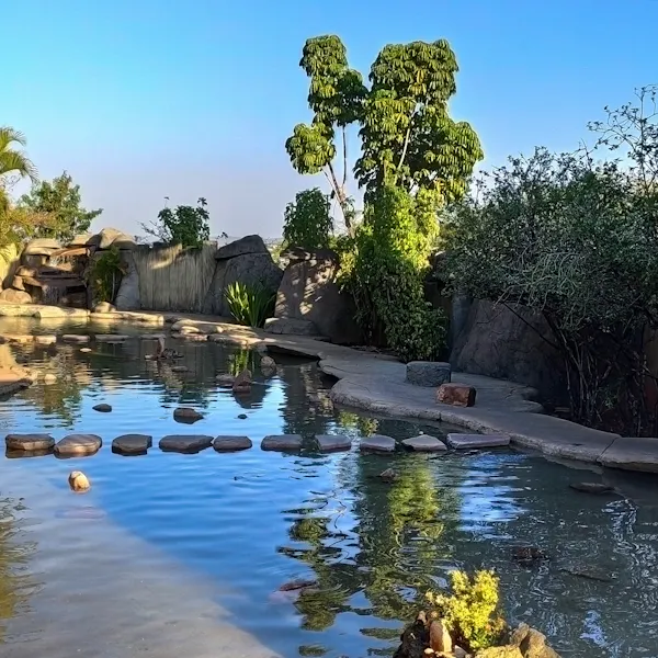 Caldas Novas - Foto 1