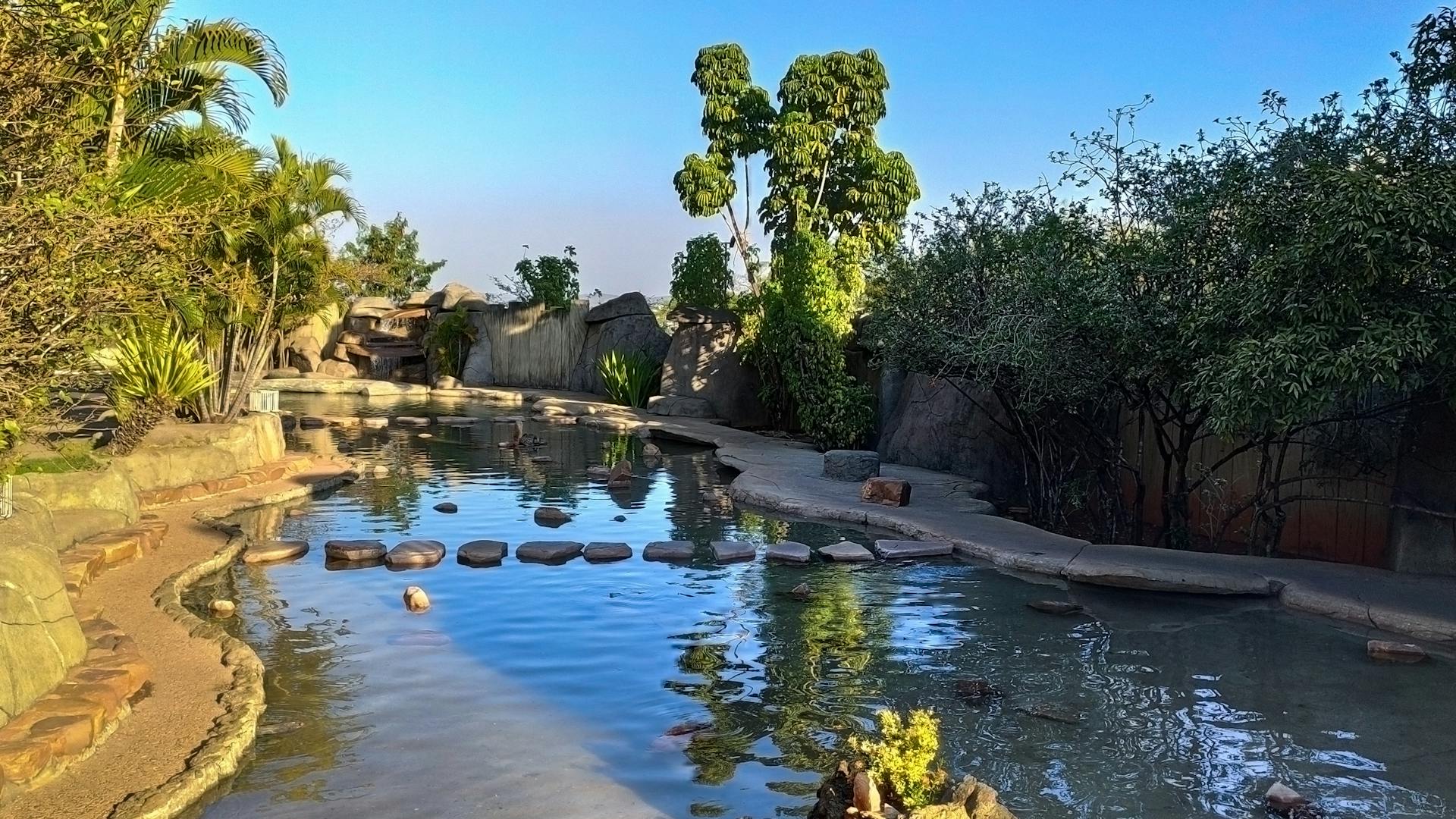 Caldas Novas - Foto 1