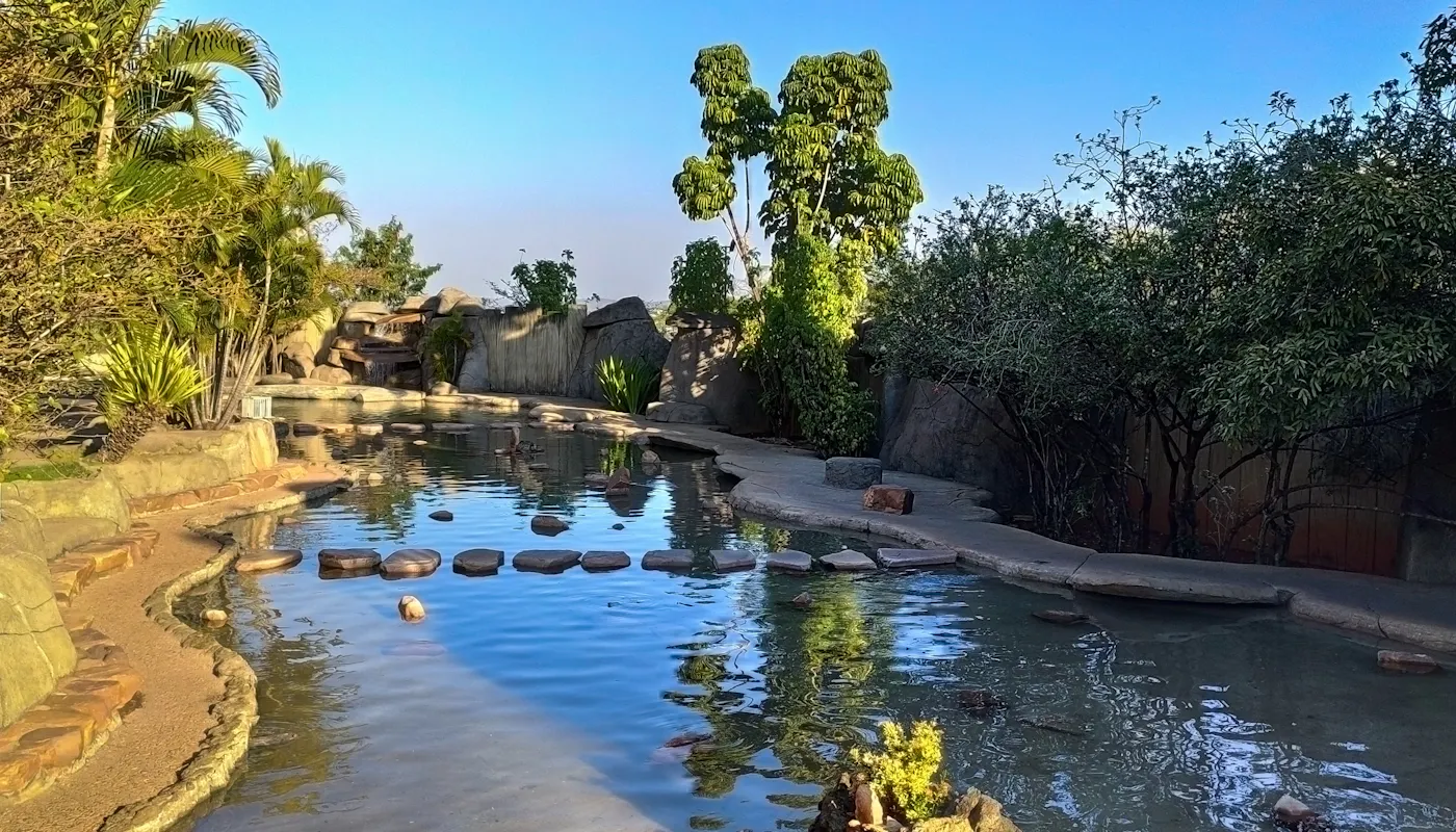 Caldas Novas - Foto 3