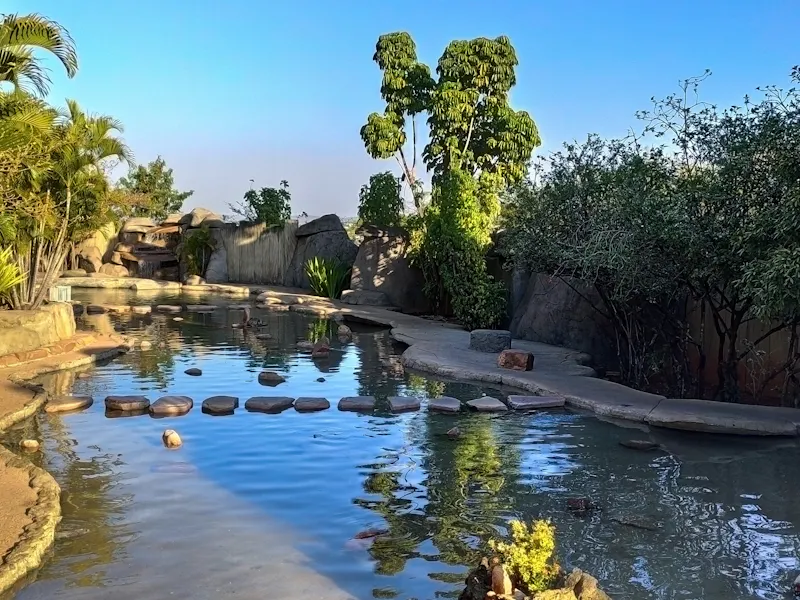 Caldas Novas - Foto 2