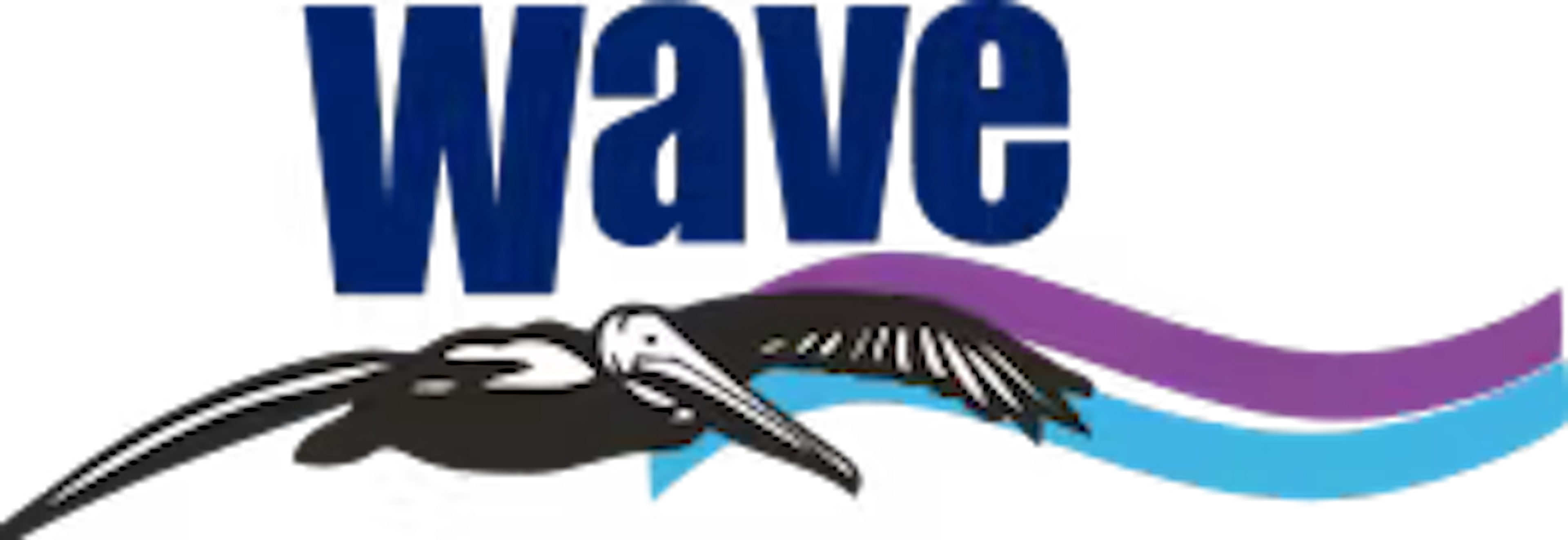 Wave
