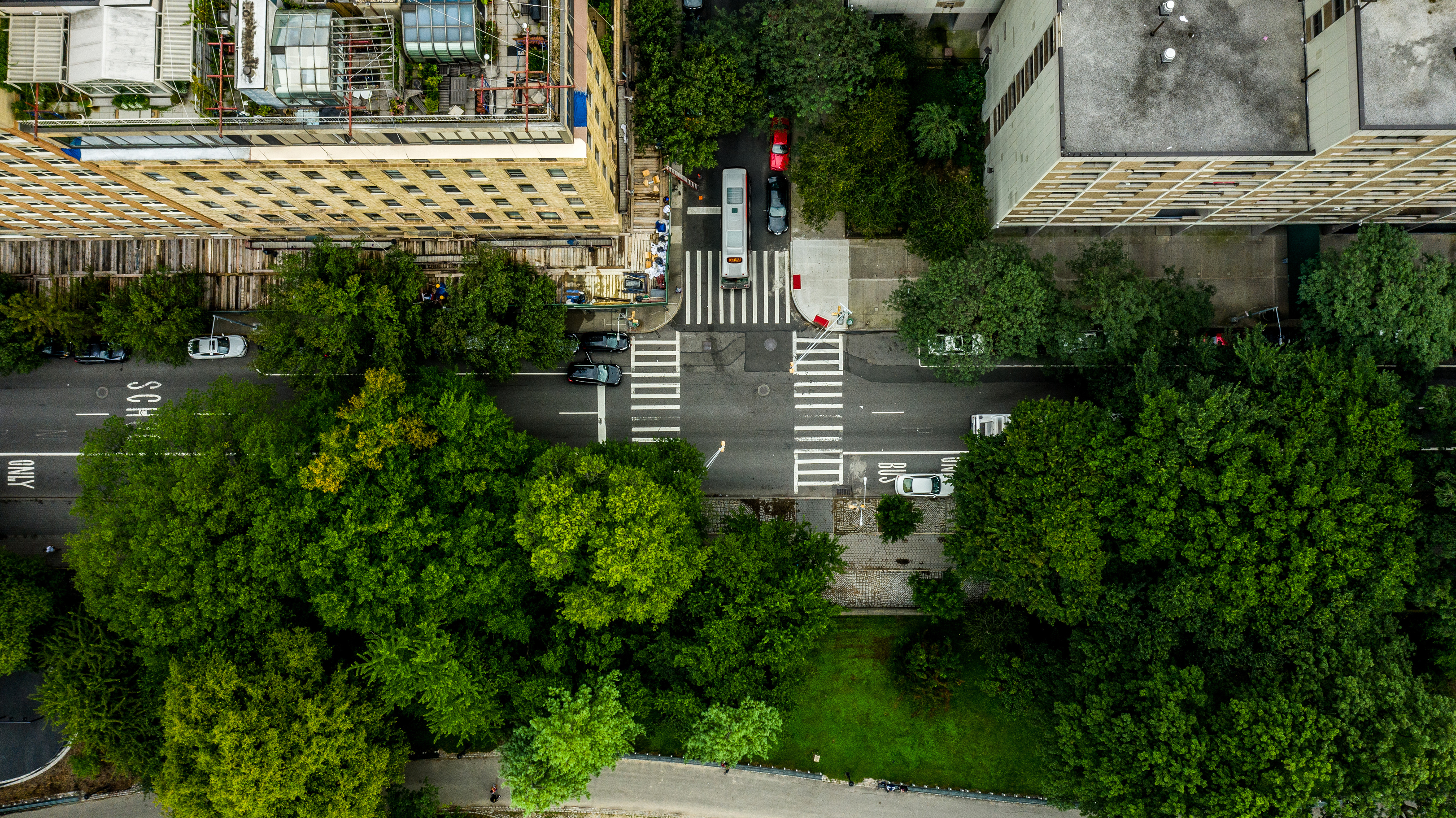 Aerial view of a city intersection with cars, a bus, and trees.