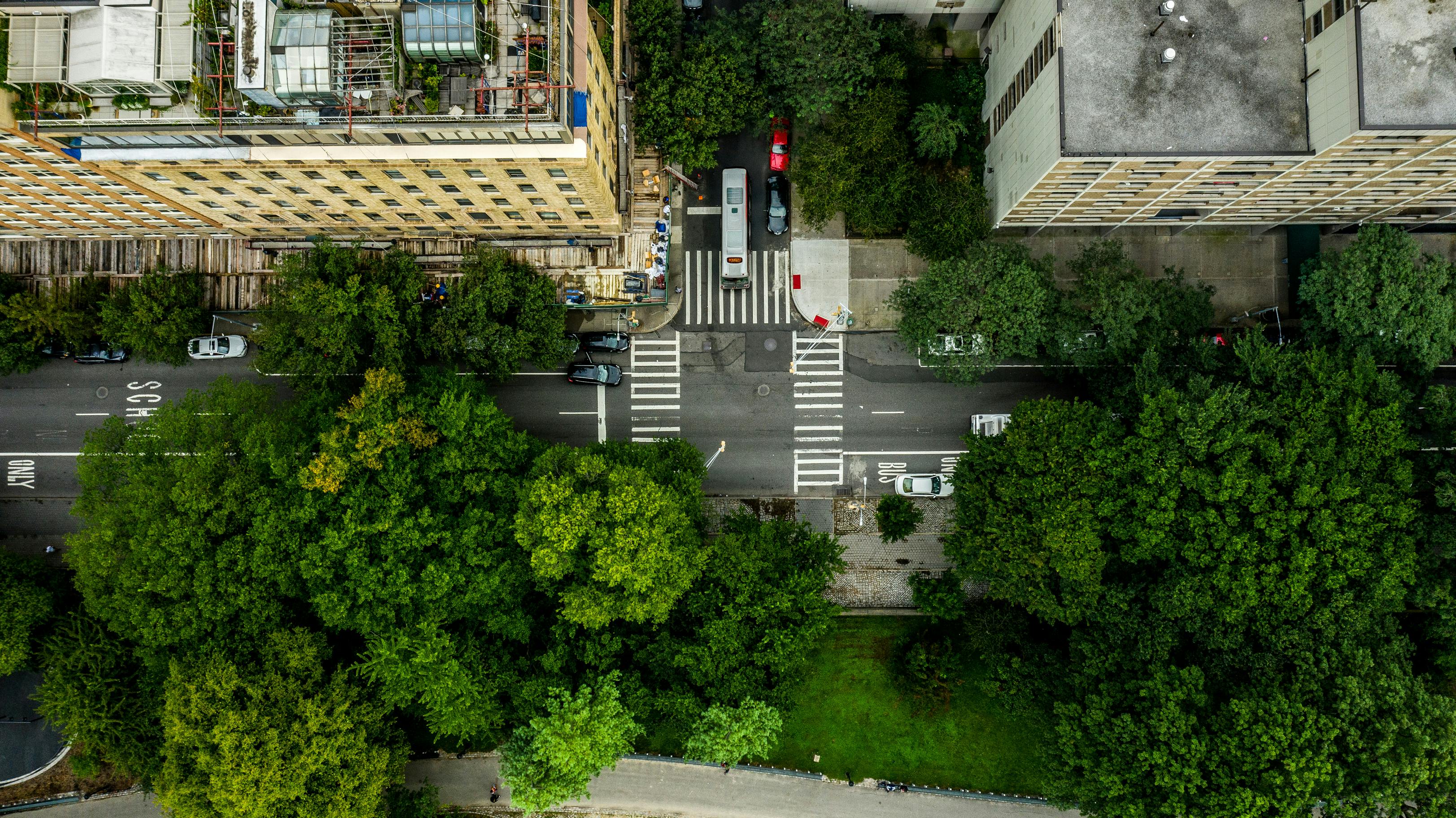 Aerial view of city street intersection with bus, cars, and trees