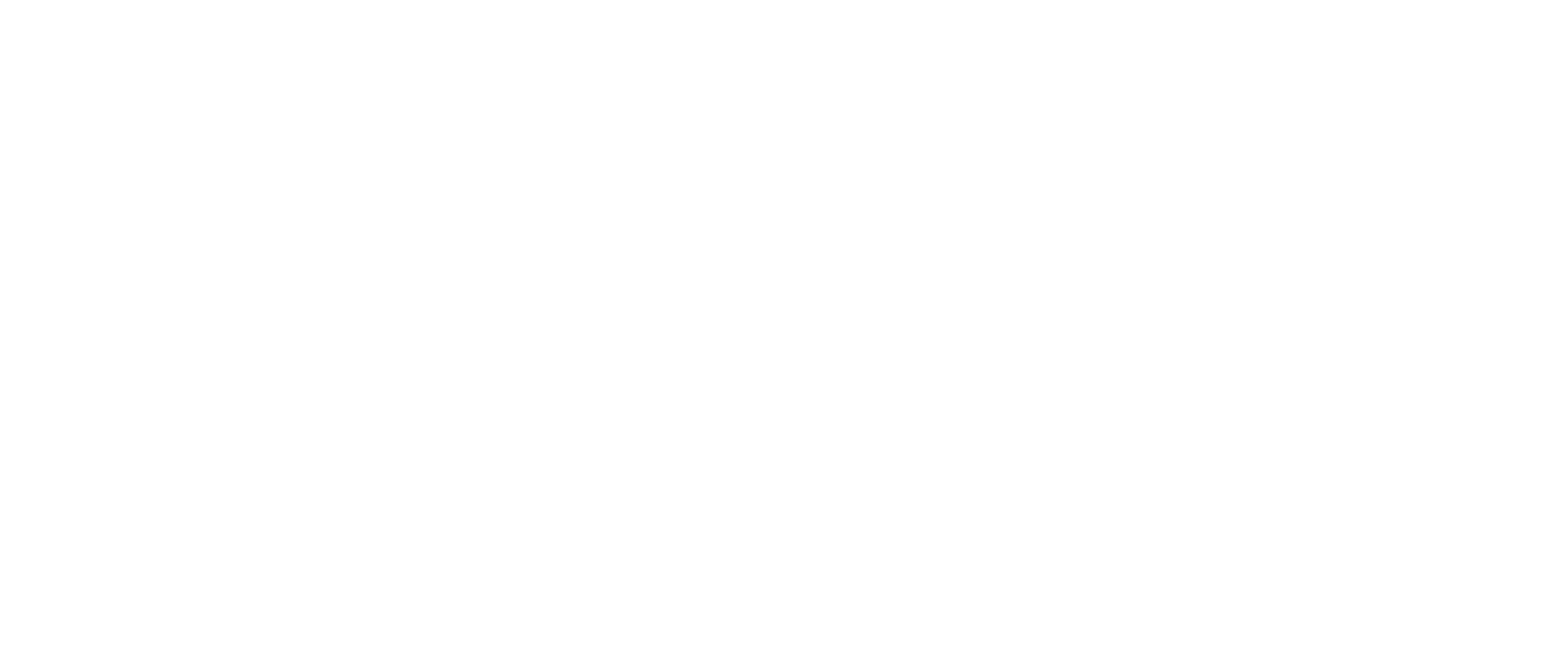 Wave Transit Logo