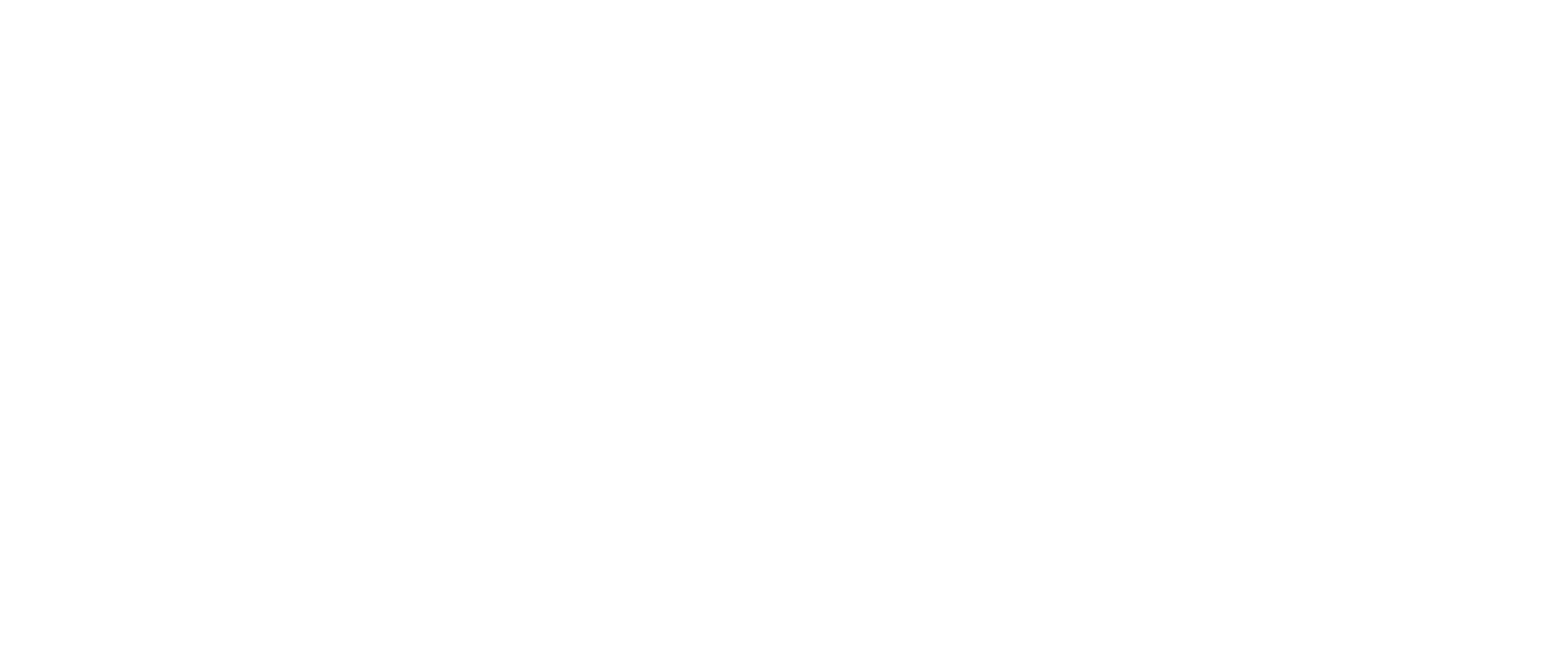 Wave Transit Logo