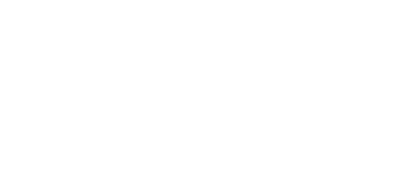 Metro Transit Logo