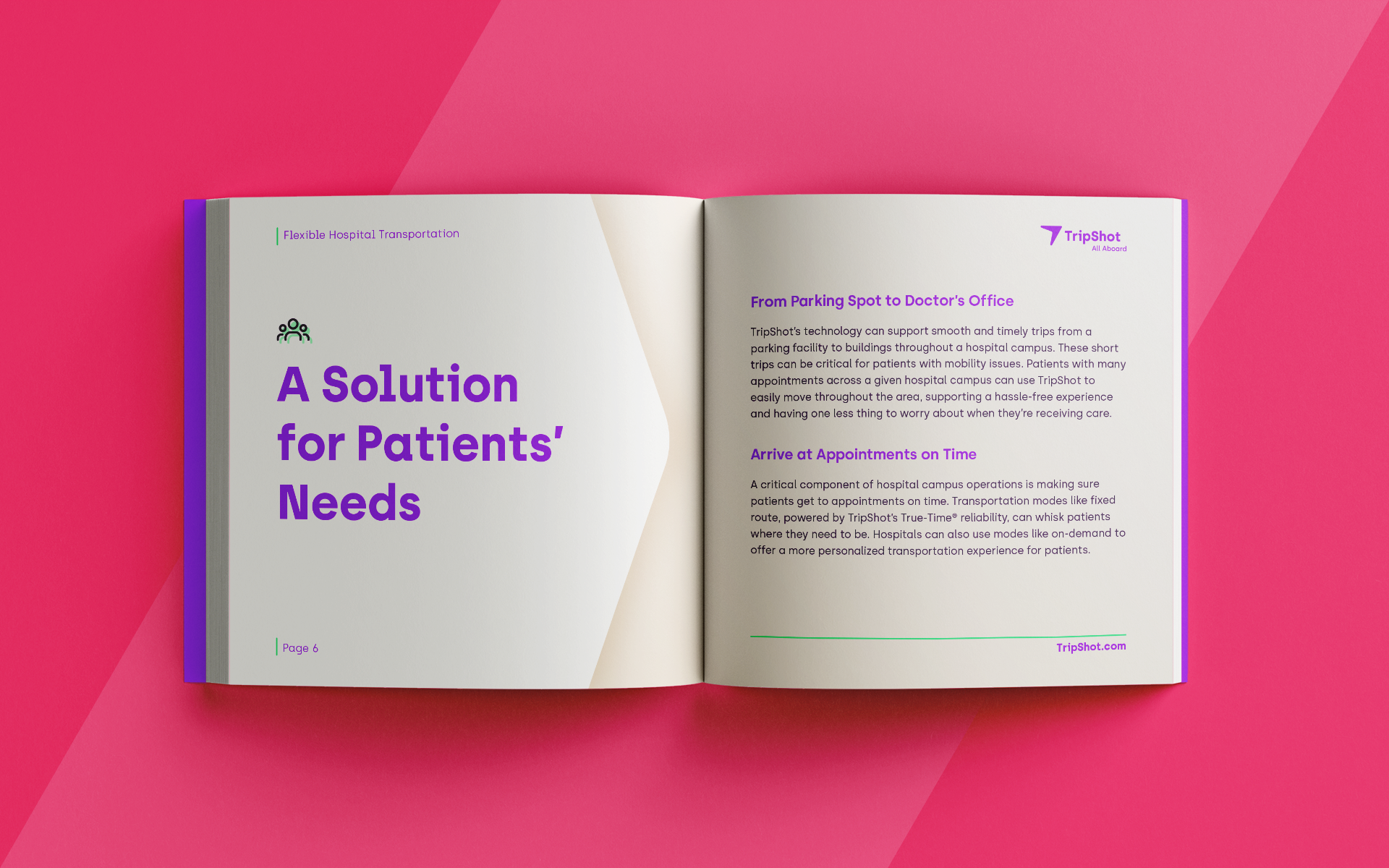 Open book with a headline on the left page reading 'A Solution for Patients' Needs' and non-legible paragraphs on the right page.