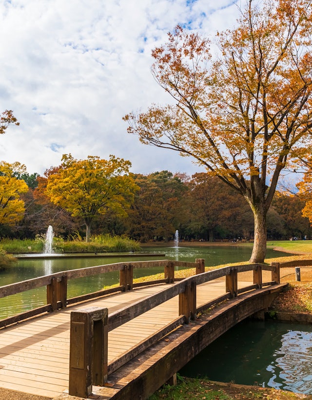 Parque Yoyogi, Tóquio Japão