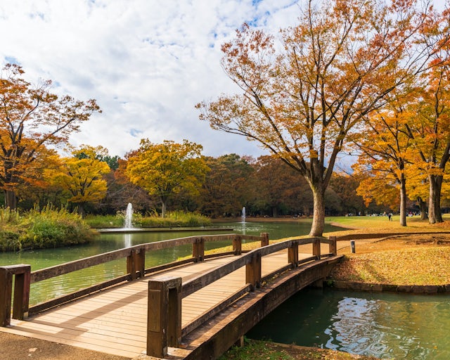 Parque Yoyogi, Tóquio Japão