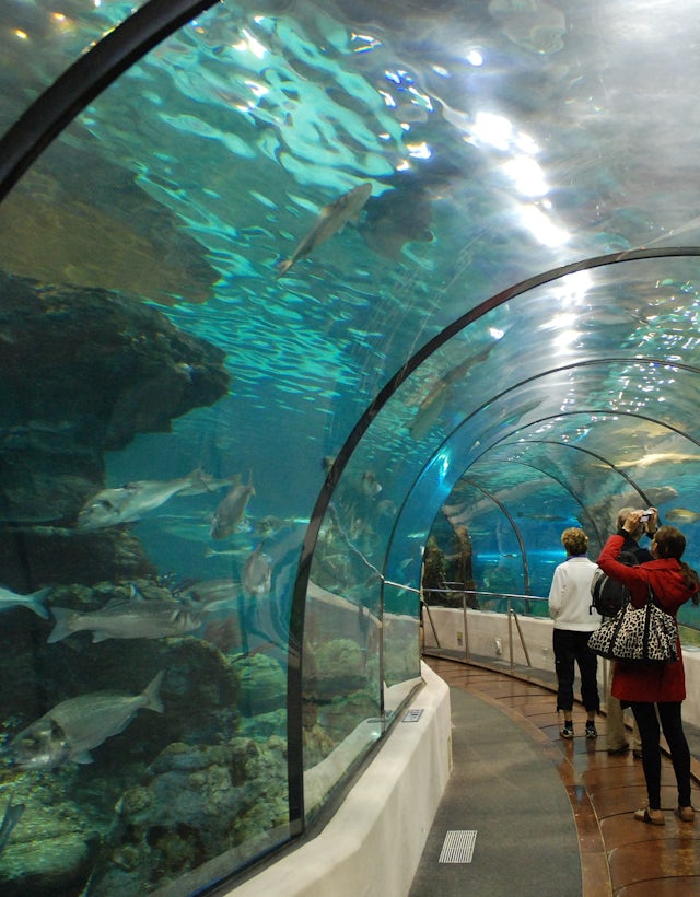L`Aquarium, Barcelona. Spain