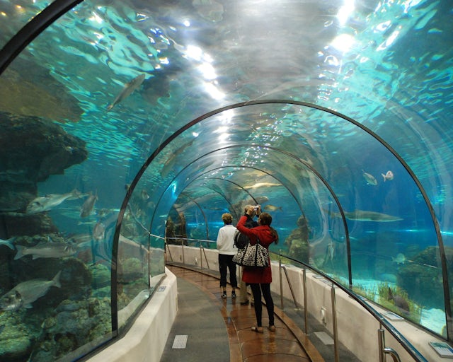 L`Aquarium, Barcelona. Espanha