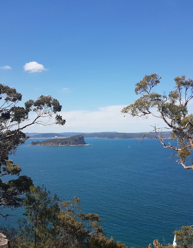 Ku-ring-gai Chase National Park, Sydney Austrália