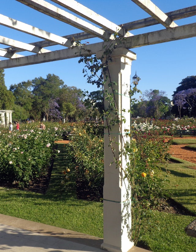 El Rosedal de Palermo, Buenos Aires Argentina