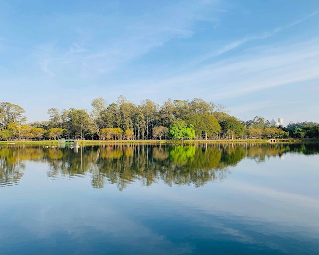 Parque Ibirapuera, São Paulo Brasil
