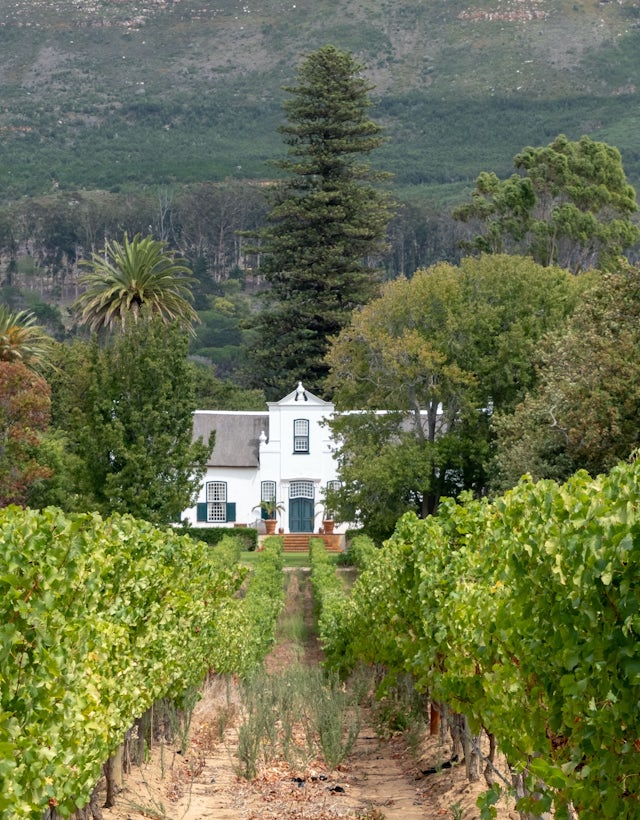 Groot Constantia Cape Town, África do Sul