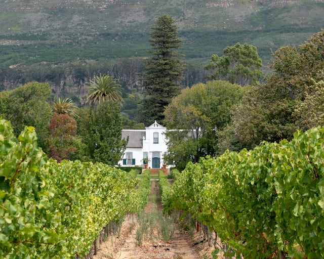 Groot Constantia Cape Town, África do Sul