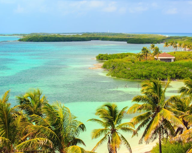 Isla Contoy, Cancún México