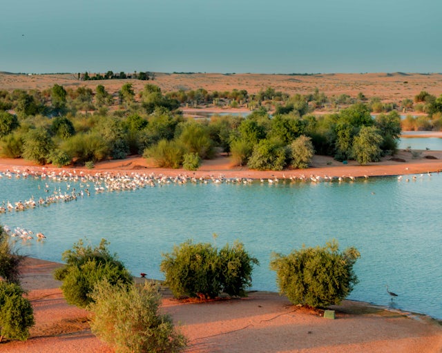 Al Marmoon, Dubai Emirados Árabes Unidos