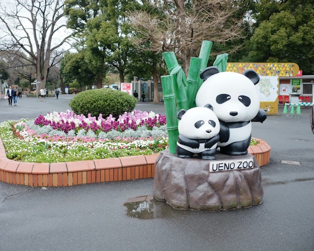 Zoológico de Ueno, Tóquio Japão