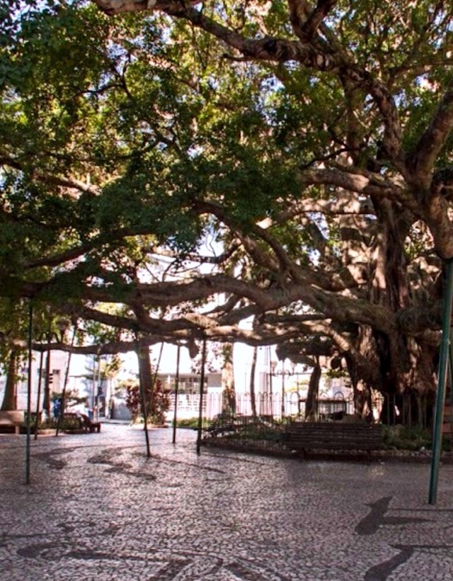 Praça XV de Novembro, Florianópolis Brasil