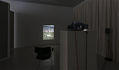 Tris Vonna-Michell: hahn/huhn
