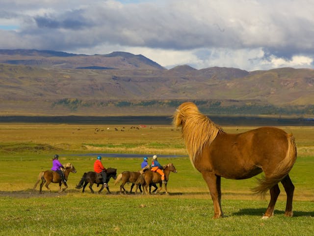 People ride horses on a green field below the mountains, passing loose horses.