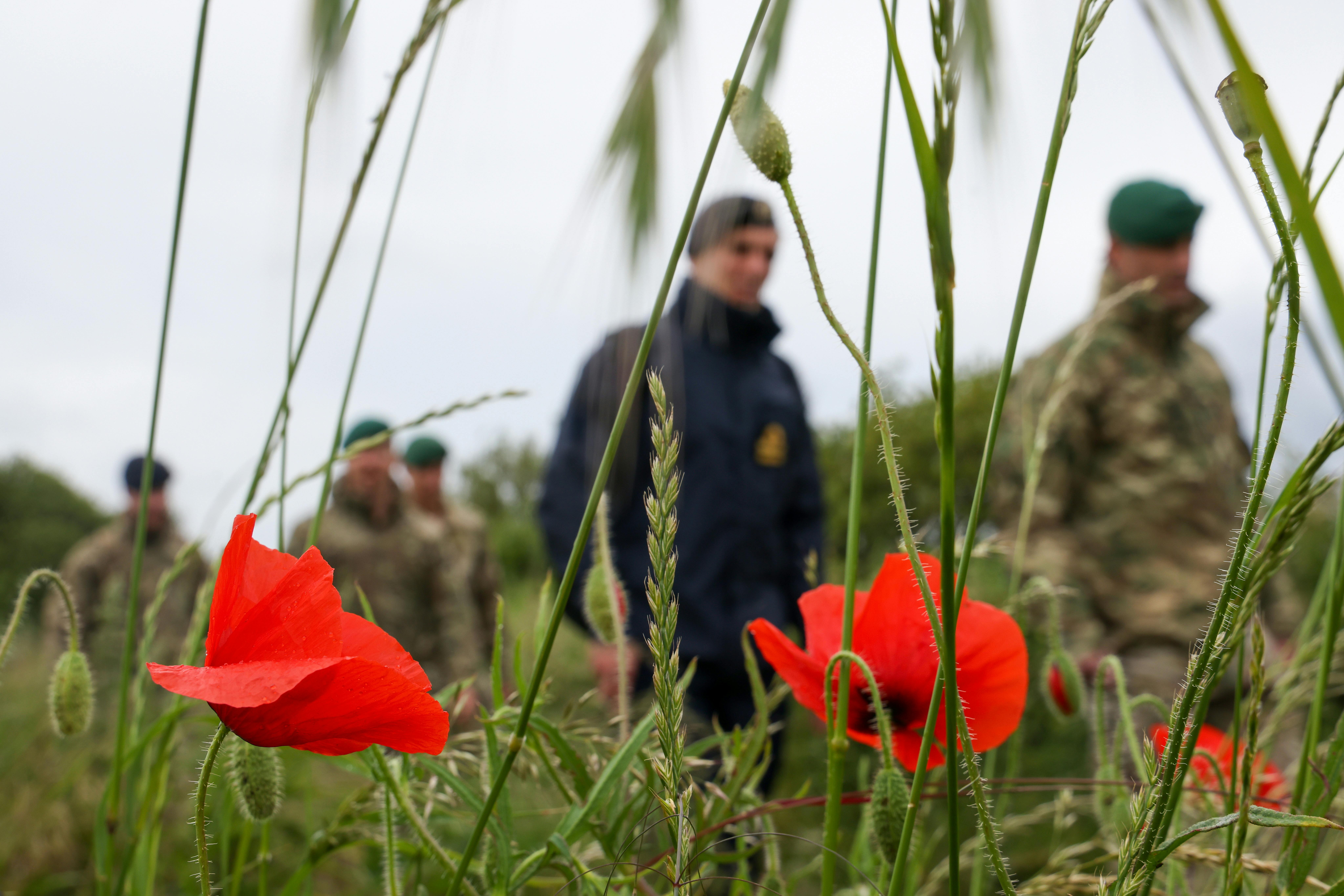 Poppies with Soldiers in background