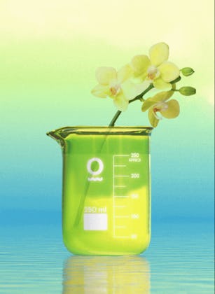 The Ultimate Guide To Reusing Your Empty Candle Containers