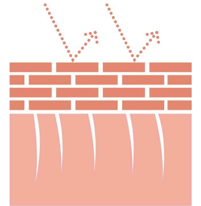 Strong Skin Barrier
