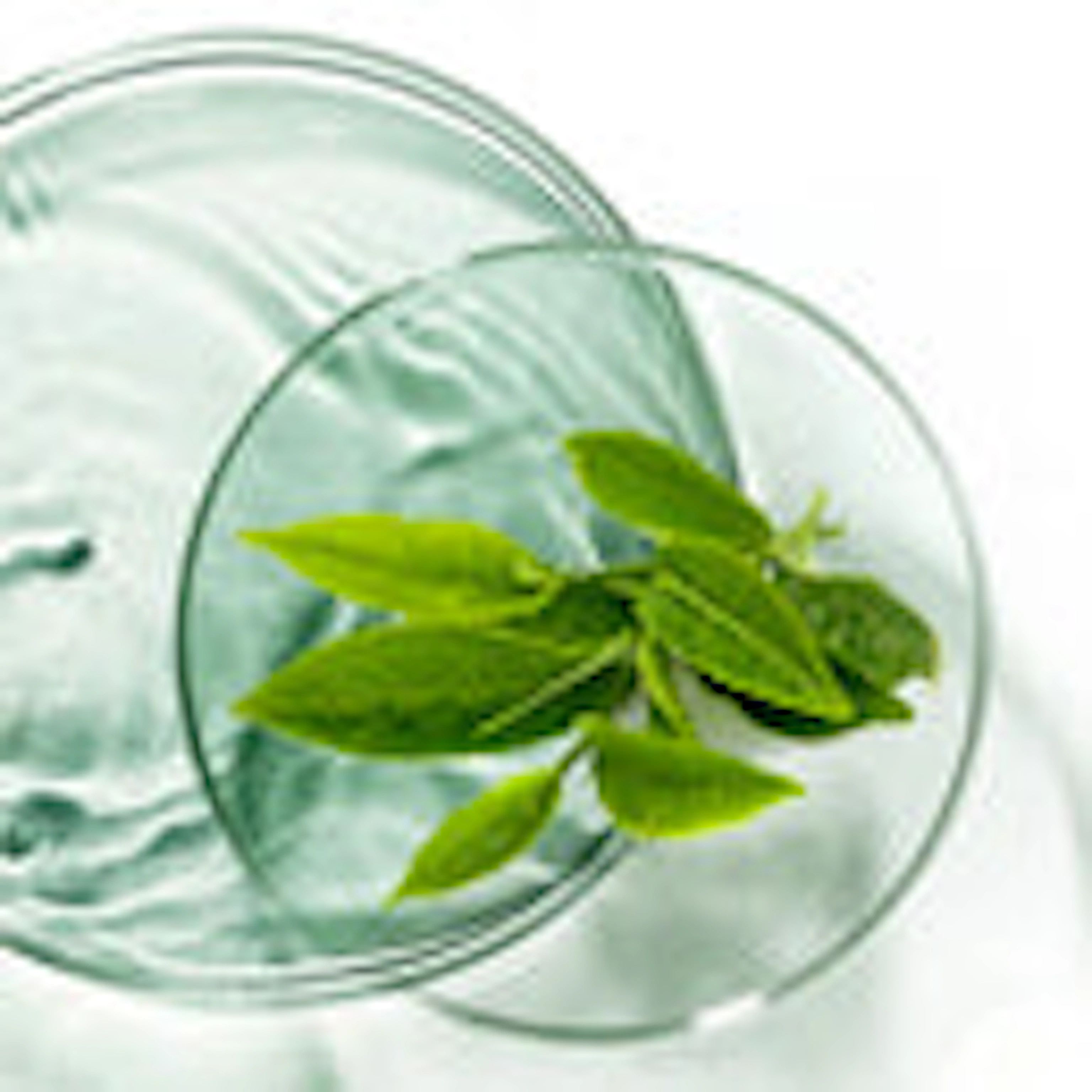 Adaptogenic Herb Blend