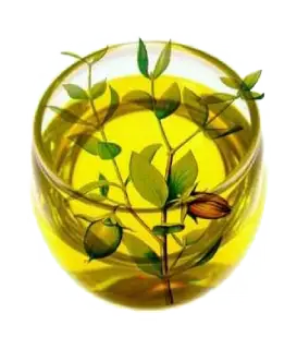 Jojoba oil