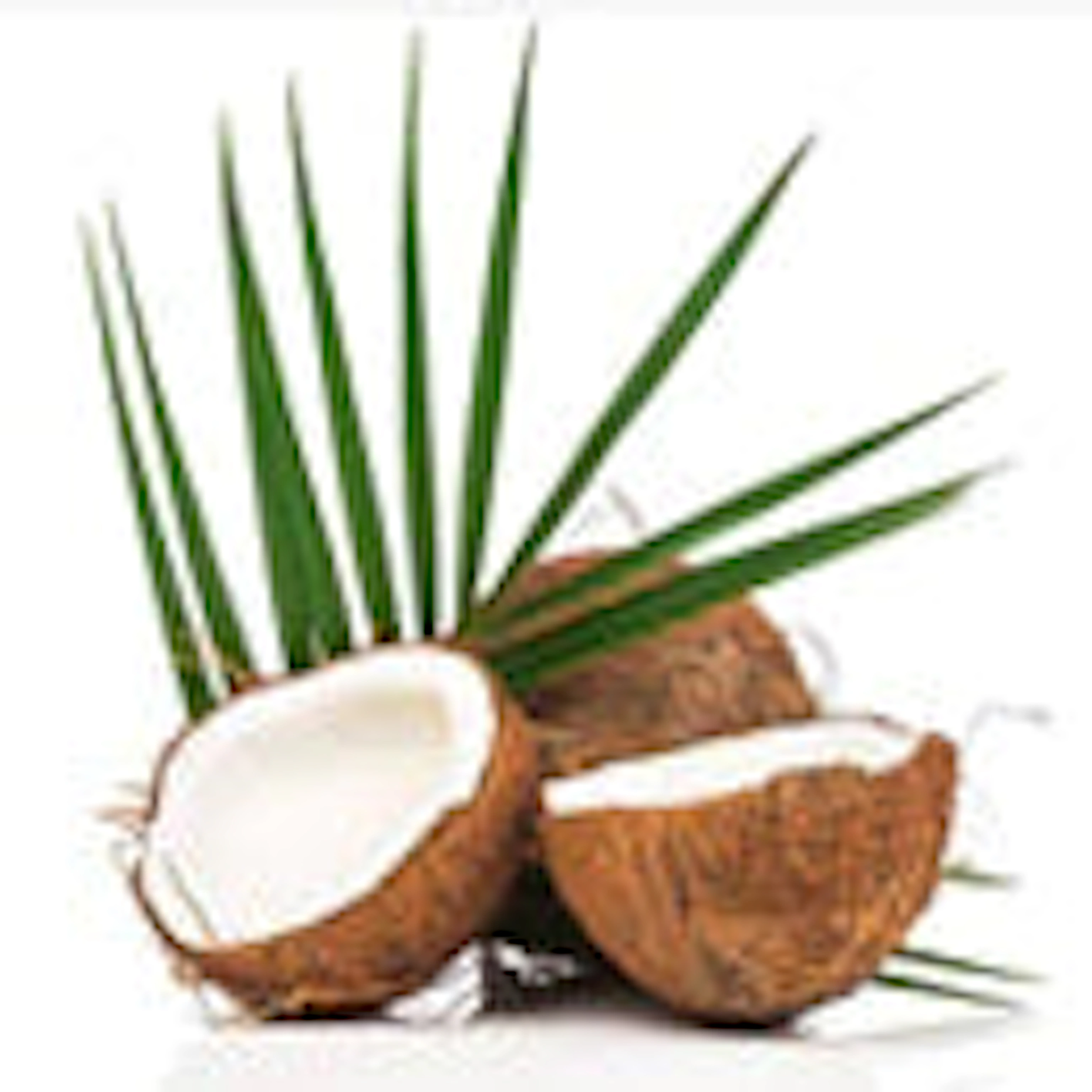 Coconut Surfactants