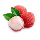 Lychee Extracts