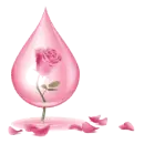 Rose hydrosol
